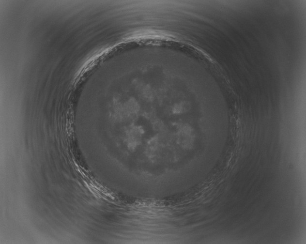 X0000085820775200703161221