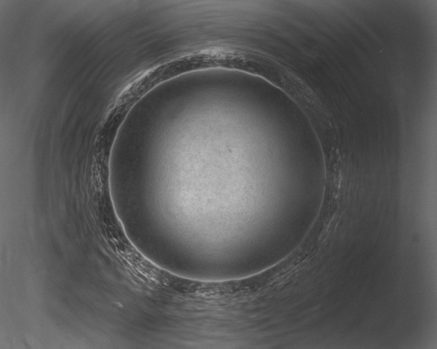X0000085820776200703161221