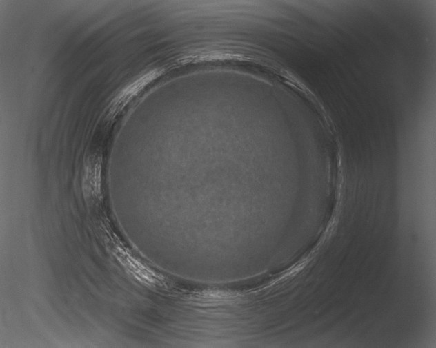 X0000085820777200703161221