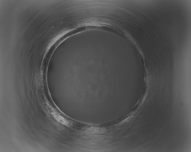 X0000085820779200703161221