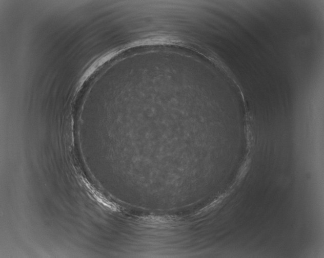 X0000085820781200703161221