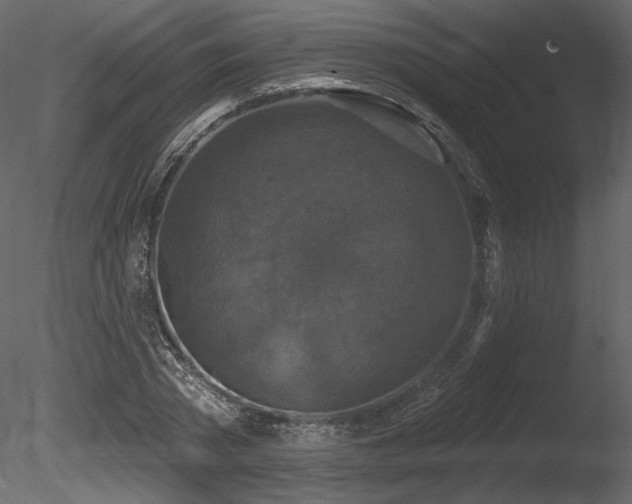 X0000085820785200703161221