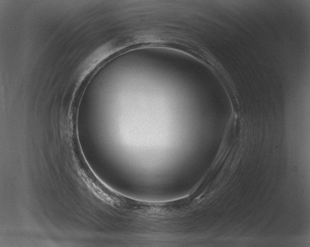 X0000085820787200703161221