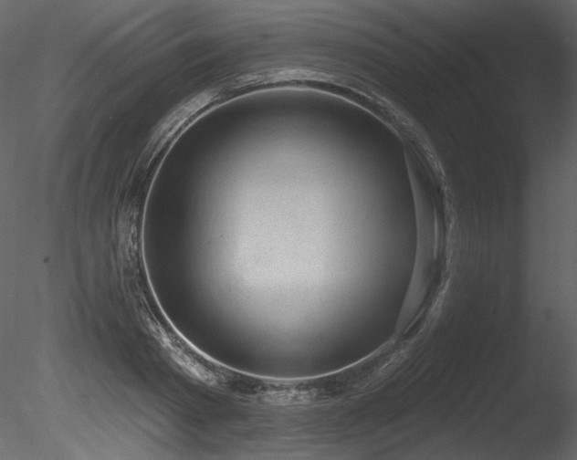 X0000085820793200703161221