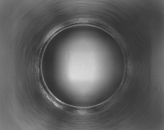 X0000085820794200703161221