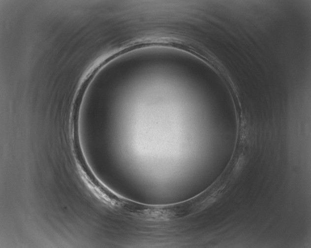 X0000085820795200703161221