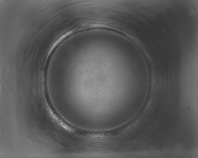 X0000085820798200703161221