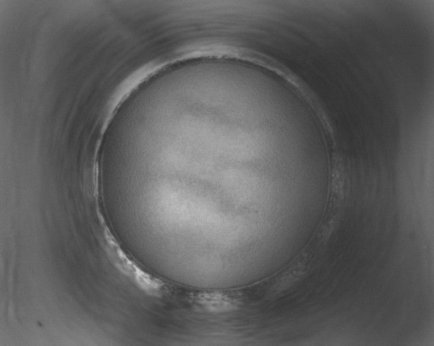 X0000085820807200703161221