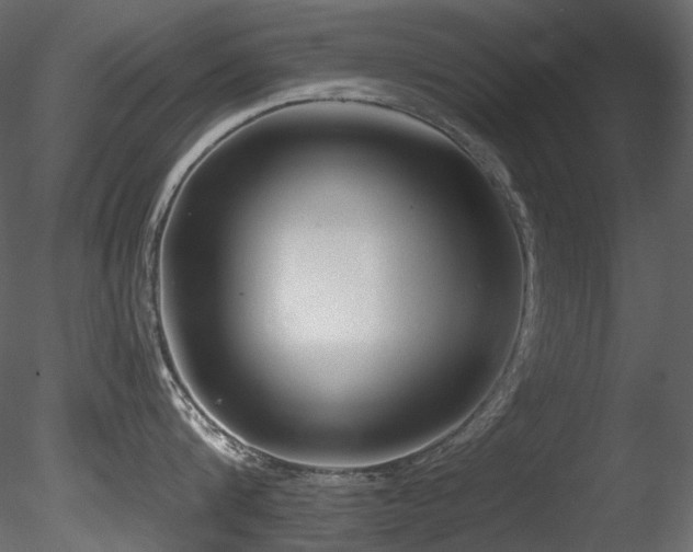 X0000085820816200703161221