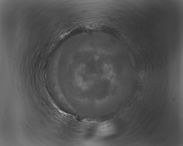 X0000085820817200703161220