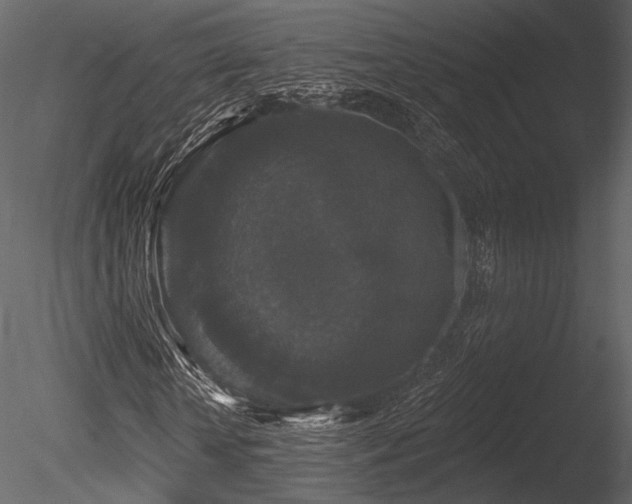 X0000085820818200703161220
