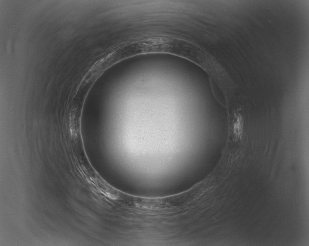 X0000085820819200703161220