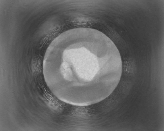 X0000085820820200703161220
