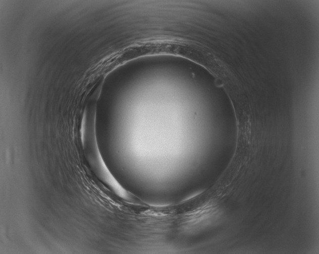 X0000085820821200703161220
