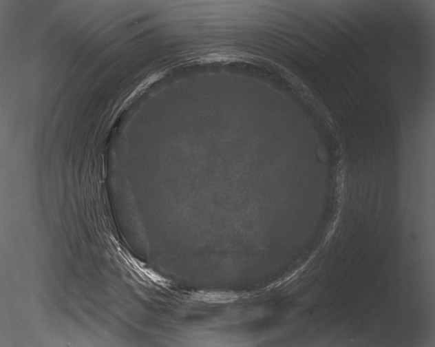 X0000085820825200703161220
