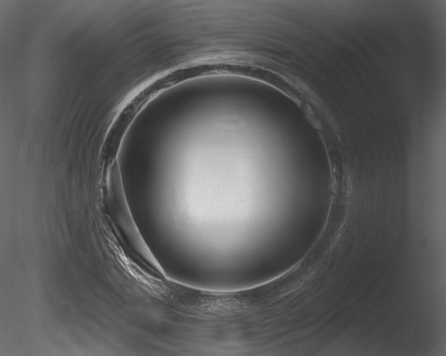 X0000085820830200703161220