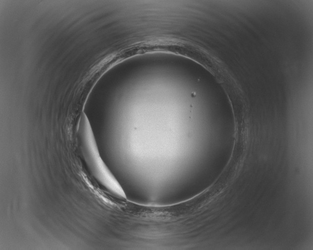X0000085820833200703161220