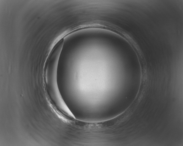 X0000085820858200703161221