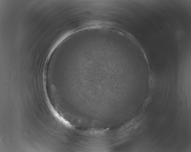 X0000085820859200703161221