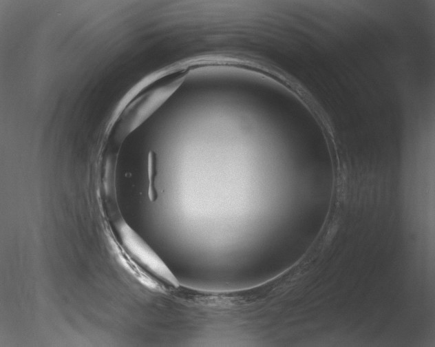 X0000085820862200703161221