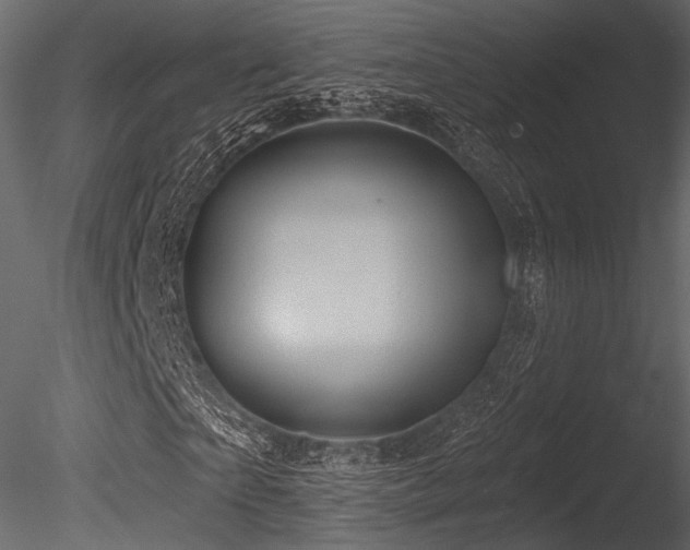 X0000085820865200703161220