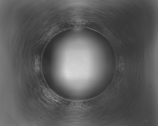 X0000085820866200703161220