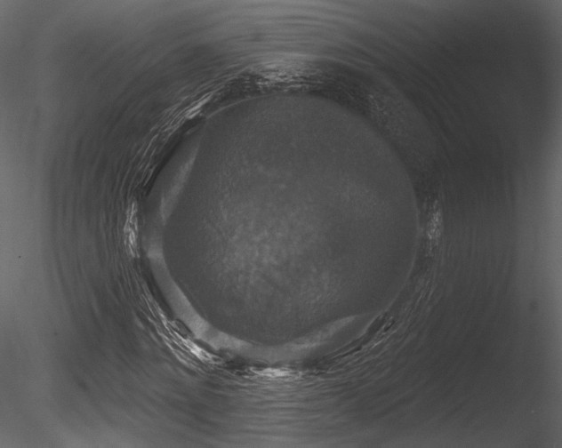X0000085820868200703161220