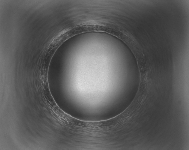 X0000085820870200703161220