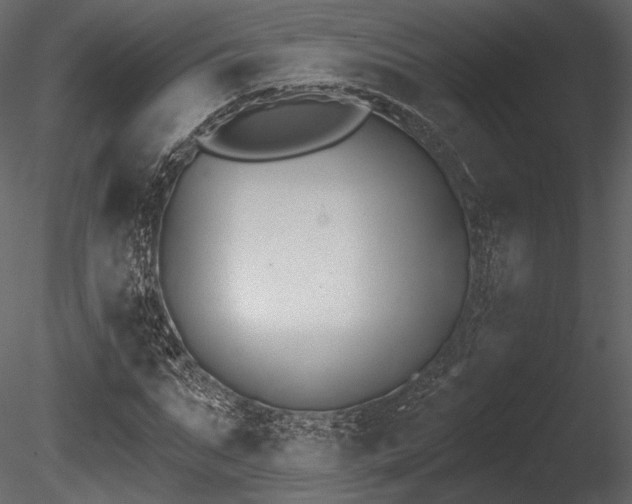 X0000085820871200703161220