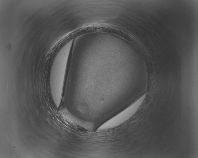 X0000085820872200703161220