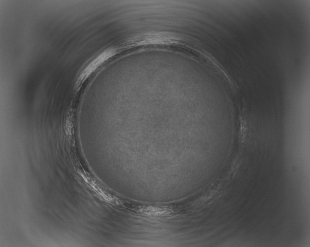 X0000085820874200703161220