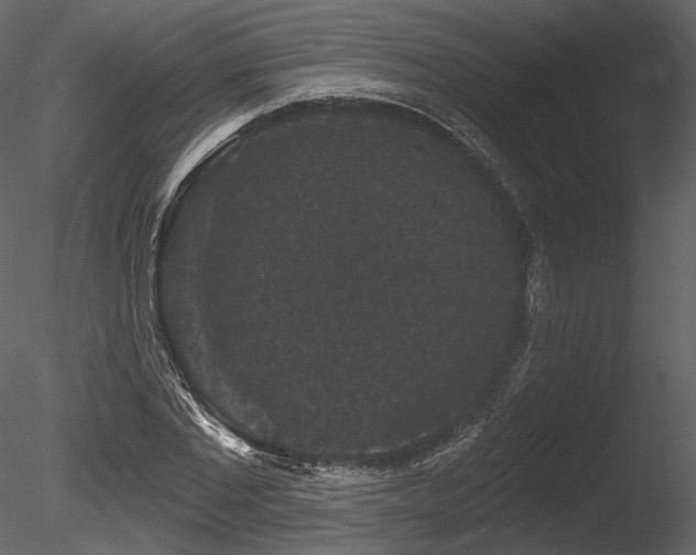 X0000085820877200703161220