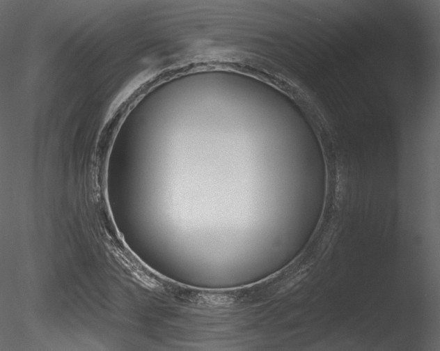 X0000085820878200703161220