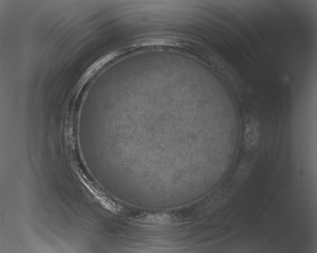 X0000085820882200703161220