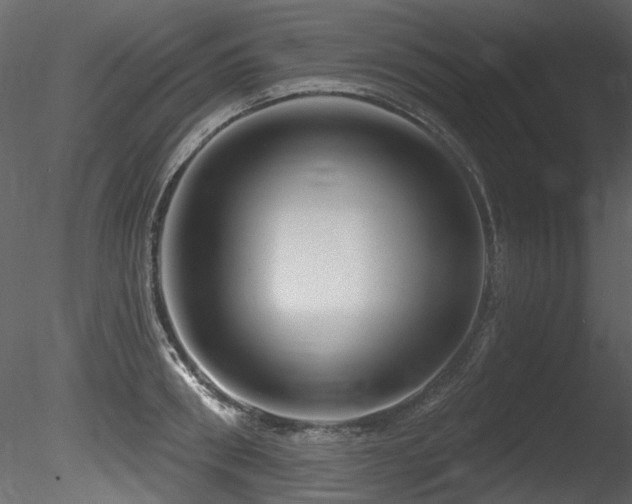 X0000085820898200703161219