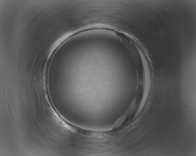 X0000085820910200703161219
