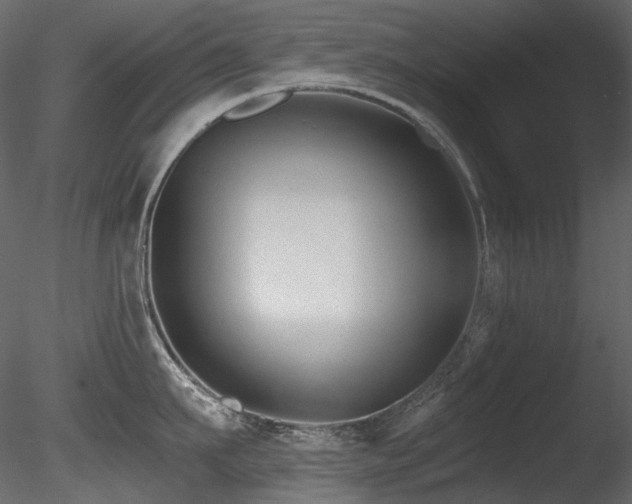 X0000085820911200703161219