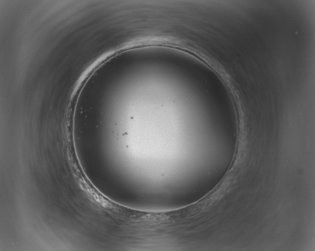 X0000085820912200703161219