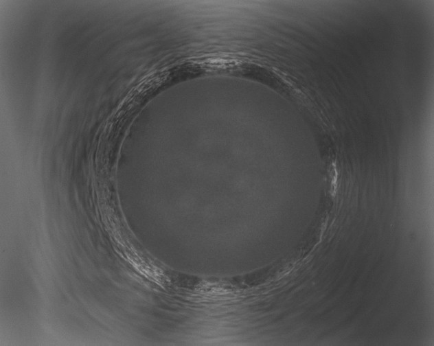 X0000085820913200703161218