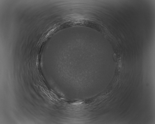 X0000085820916200703161218