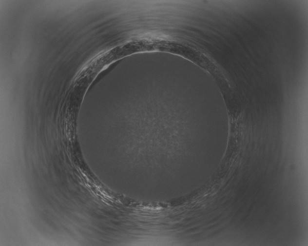 X0000085820919200703161218