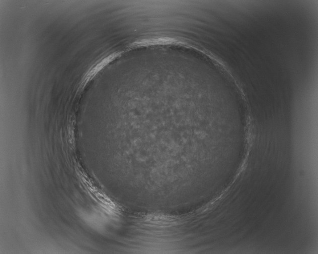 X0000085820921200703161218