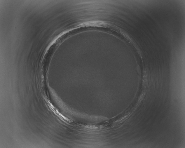 X0000085820923200703161218