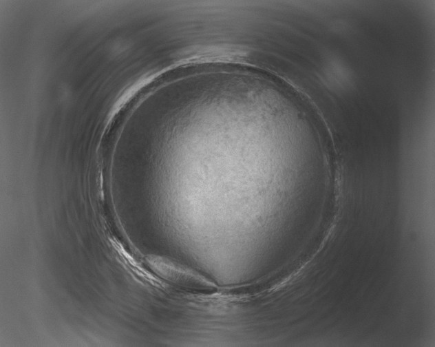 X0000085820925200703161218