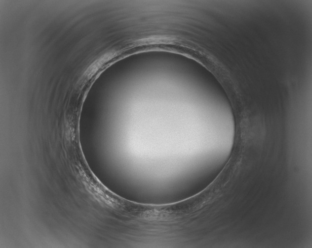 X0000085820929200703161219