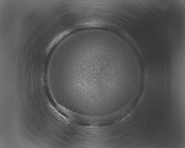 X0000085820930200703161219