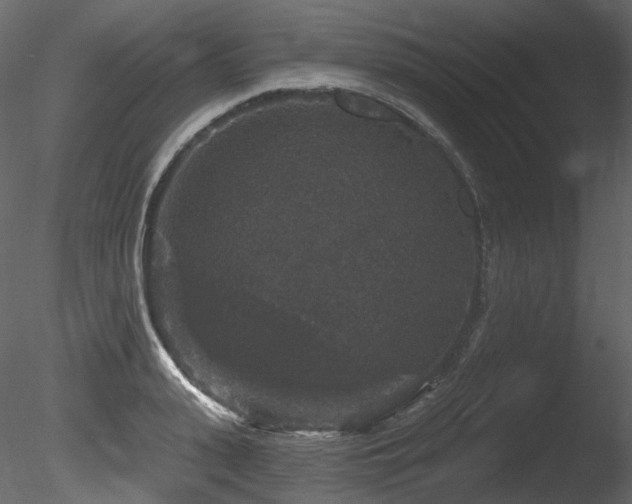 X0000085820943200703161219