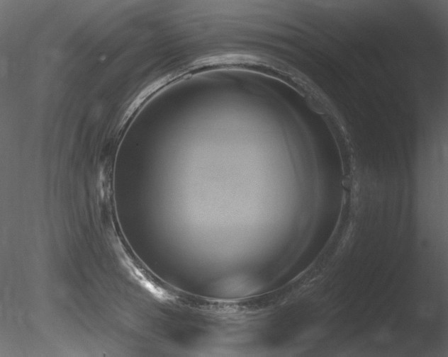 X0000085820945200703161219