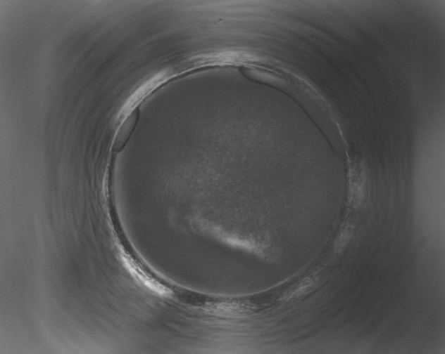 X0000085820946200703161219