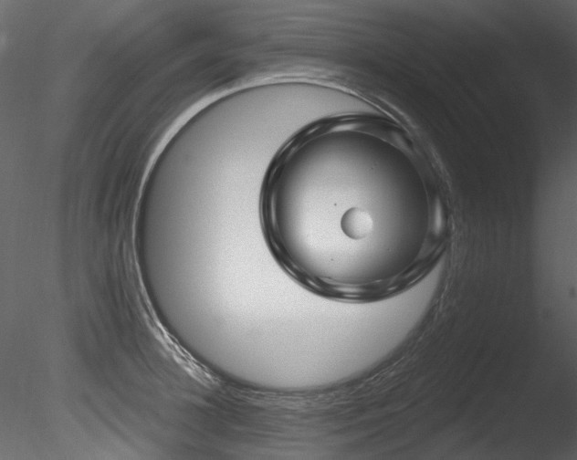 X0000085820948200703161219
